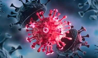 ৩ বাংলাদেশির শরীরে ওমিক্রনের নতুন উপধরন শনাক্ত