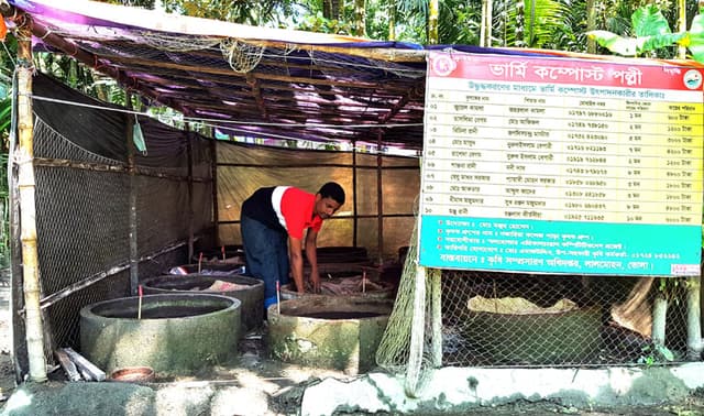 লালমোহনে জনপ্রিয় হয়ে উঠছে ভার্মি কম্পোস্ট সার