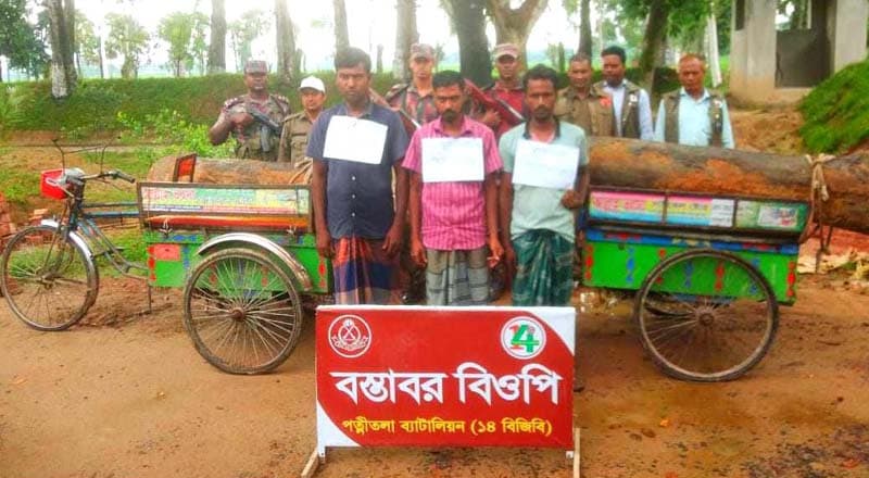 ধামইরহাটে বনবিভাগের গাছ চুরির সময় গাছসহ আটক-৩