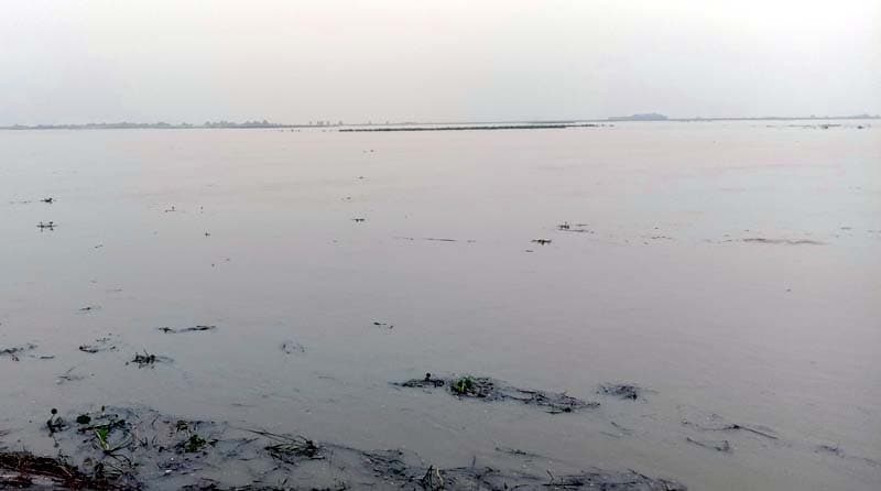 পদ্মায় গোসল করতে নেমে মাদ্রাসা ছাত্রী নিখোঁজ