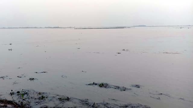 পদ্মায় গোসল করতে নেমে মাদ্রাসা ছাত্রী নিখোঁজ