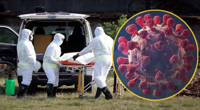 করোনায় আরও ১ জনের মৃত্যু, শনাক্ত ২৭৮