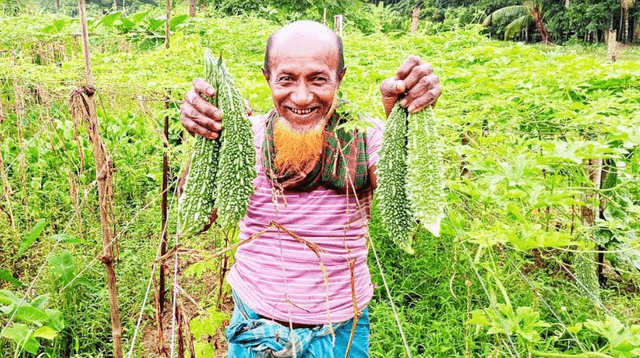 তৈয়ব আলীর করলা চাষ: সাফল্যের নতুন দৃষ্টান্ত কাউখালীতে