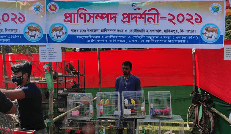হিলিতে প্রাণি সম্পদ প্রদর্শনী মেলা উদ্বোধন