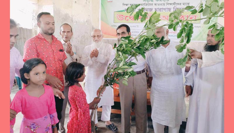 পাথরঘাটায় ১৭৯০ শিক্ষার্থী পেল ফলজ ও বনজ গাছের চারা