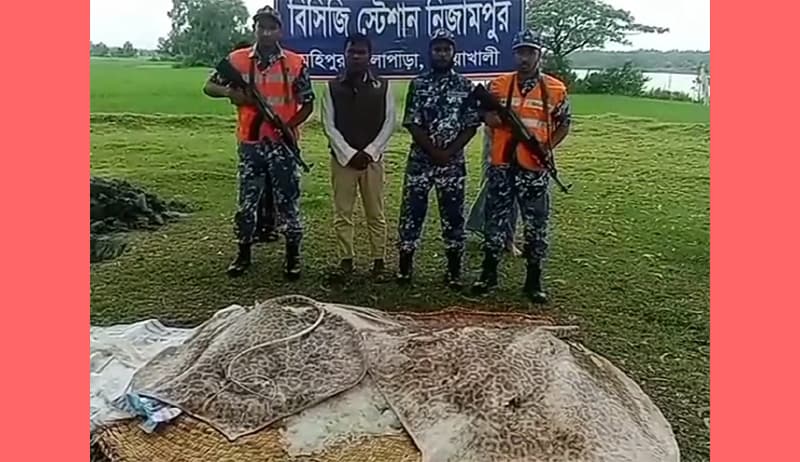 মহিপুরে ৫'শ কেজি ওজনের দুটি শাপলাপাতা মাছ জব্দ