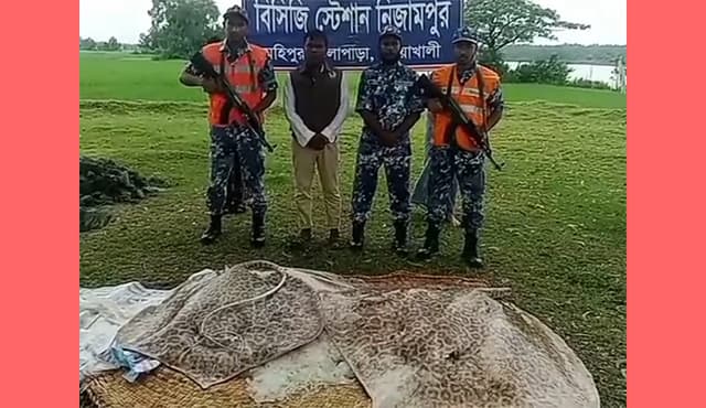 মহিপুরে ৫'শ কেজি ওজনের দুটি শাপলাপাতা মাছ জব্দ