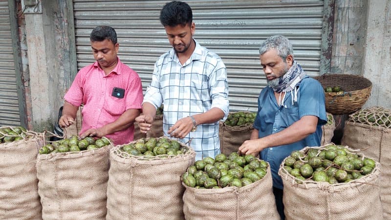 পিরোজপুরের সুস্বাদু আমড়ার খ্যাতি দেশজুড়ে : বেড়েছে উৎপাদন, লাভবান কৃষকরা
