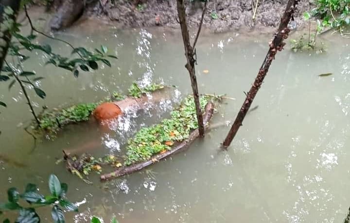 ঝালকাঠিতে খাল মানসিক ভারসাম্যহীন কিশোরীর মরদেহ উদ্ধার