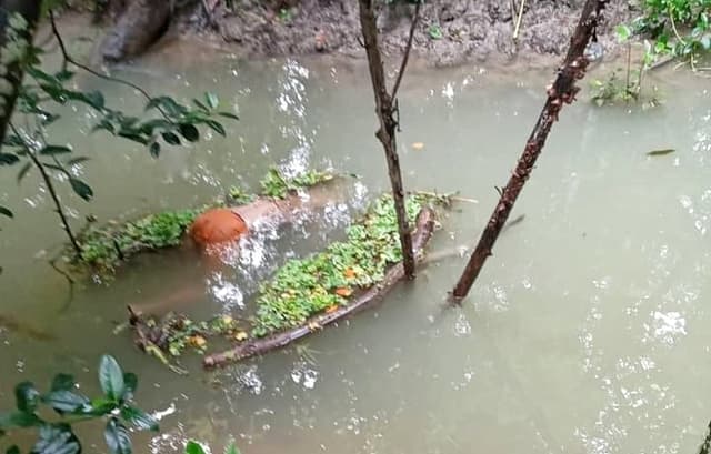ঝালকাঠিতে খাল মানসিক ভারসাম্যহীন কিশোরীর মরদেহ উদ্ধার