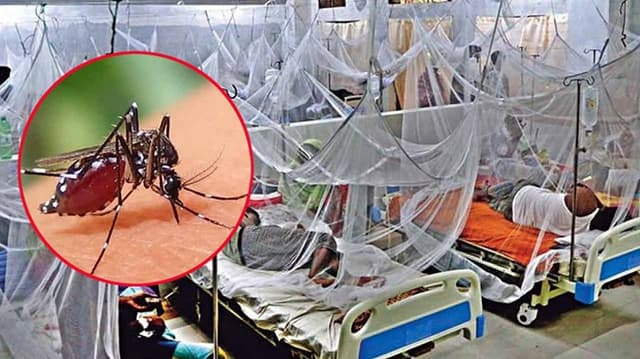 ডেঙ্গুতে আরও ১২ জনের মৃত্যু, ঢাকার বাইরে ৮