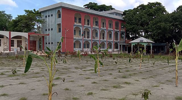 টুঙ্গিপাড়ায় স্কুলের জায়গা দখল করতে কলা গাছ রোপণ !