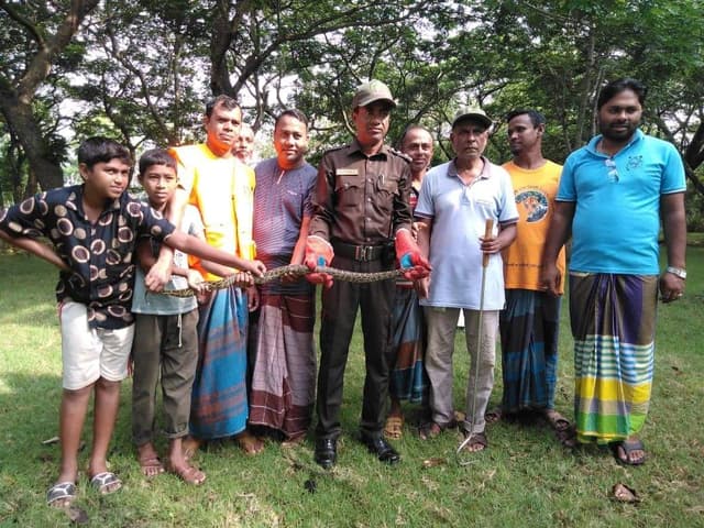 মোংলায় অজগর উদ্ধার