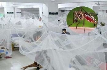 ডেঙ্গুতে সেপ্টেম্বরে ১৯৭ জনের মৃত্যু