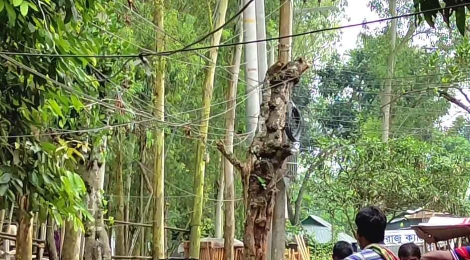 শতভাগ বিদ্যুতায়নের উপজেলায় গ্রাহক ভোগান্তির শেষ কবে?