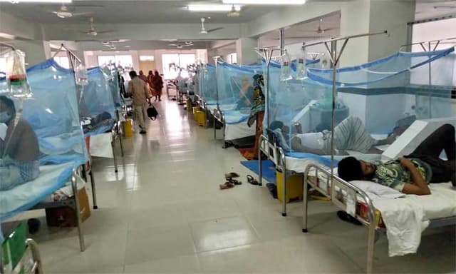ডেঙ্গু আক্রান্ত হয়ে আরও ২৩২ জন হাসপাতালে ভর্তি