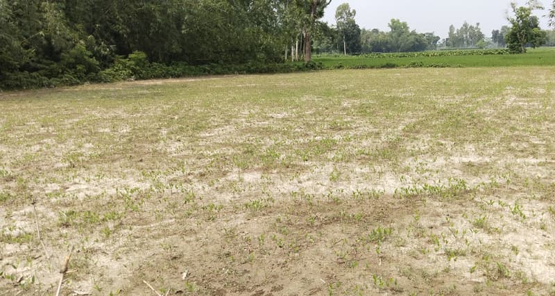 ৮ বছর পেরিয়ে গেলেও নেই উত্তোলনের উদ্যোগ পাঁচবিবির চুনাপাথর ও সাদামাটি