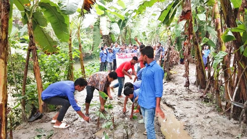 রাস্তায় কচু গাছ লাগিয়ে অভিনব প্রতিবাদ শিক্ষার্থীদের