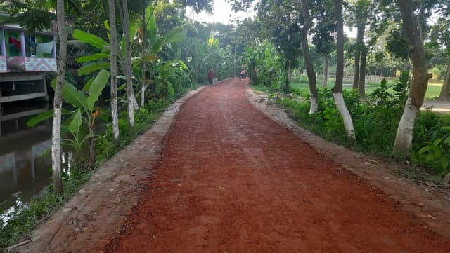 মাদারীপুরের কালকিনিতে পঁচা ইটখোয়া দিয়ে সড়ক নির্মাণের অভিযোগ