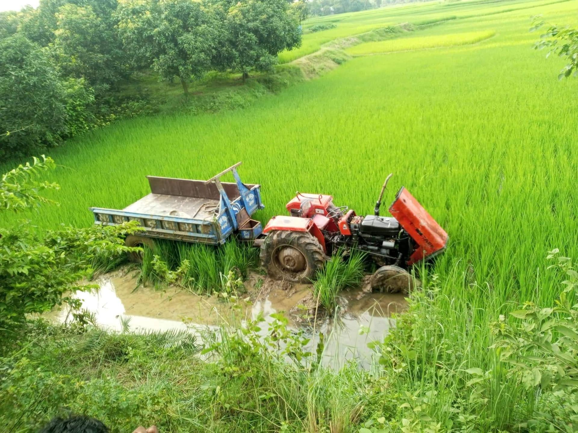 নবাবগঞ্জে  মর্মান্তিক সড়ক দুর্ঘটনায় শিশুর মৃত্যু