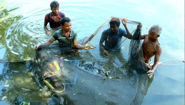ঠাকুরগাঁওয়ে মাছ চাষে সফল ইফতেখারুল