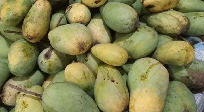 হিলি বাজারে উঠেছে বারোমাসি আম কাটিমন, দাম চড়া