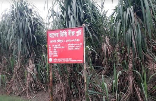 ঝিনাইদহের মোবারকগঞ্জ চিনিকল রক্ষায় প্রশংসনীয় উদ্যোগ