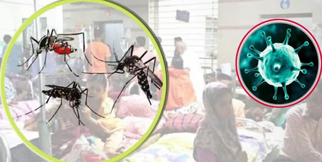 দক্ষিণাঞ্চলে কমেছে করোনা, বেড়েছে ডেঙ্গু রোগী