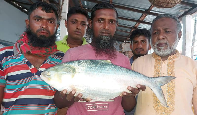 এক ইলিশ বিক্রি হলো সাড়ে ৯ হাজার টাকায় !