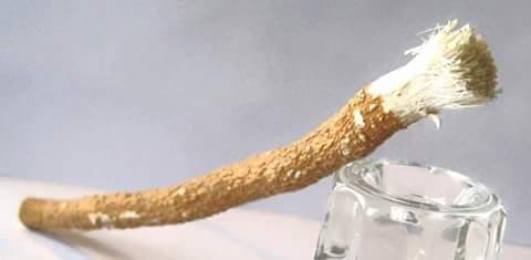 মেসওয়াকের ফজিলত ও উপকারিতা বেশি কেন?