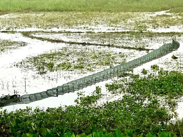 আত্রাইয়ে নিষিদ্ধ চায়না জালের অবাধ ব্যবহার: মৎস্যসম্পদে হুমকি