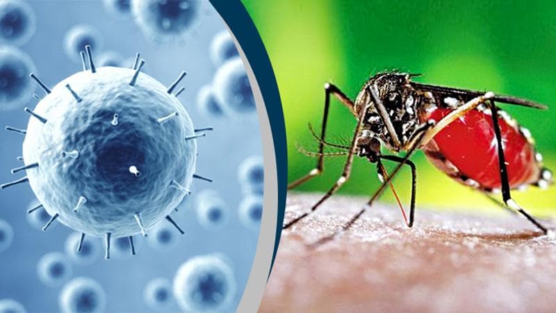 ডেঙ্গু, করোনা, না ইনফ্লুয়েঞ্জা, বুঝবেন কীভাবে