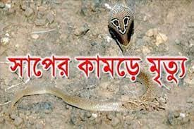 ঝিনাইদহের শৈলকুপায় সাপে কেটে দুই জনের মৃত্যু
