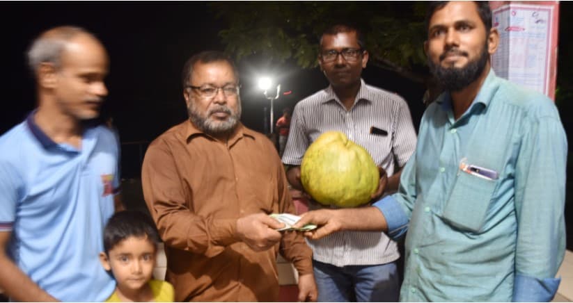 এক জাম্বুরার দাম ৬ হাজার টাকা