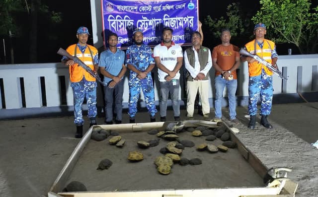 কলাপাড়ায় যাত্রীবাহী বাস থেকে ৬২টি কচ্ছপ উদ্ধার