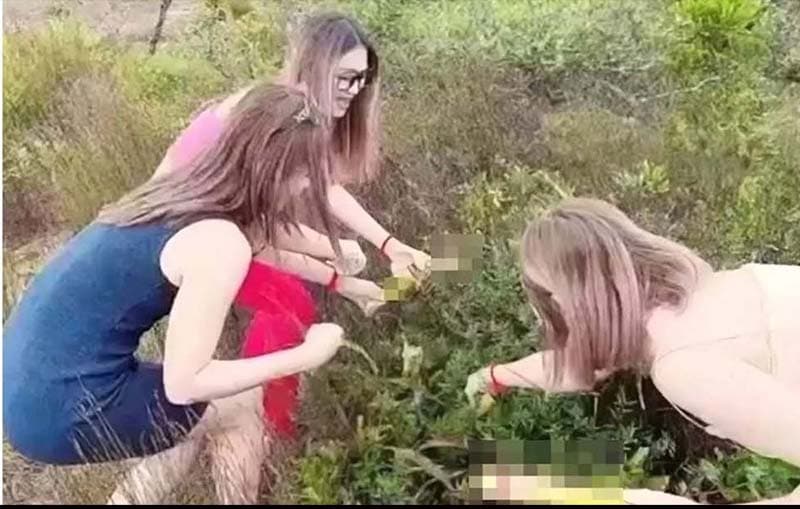 গাছে ঝুলছে পুরুষাঙ্গ! হুমড়ি খেয়ে পড়ল নারীরা
