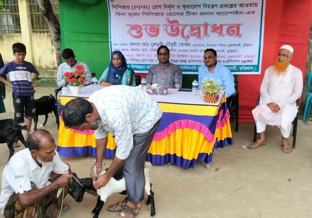 ভূরুঙ্গামারীতে পিপিআর নির্মূলে টিকা ক্যাম্পেইন