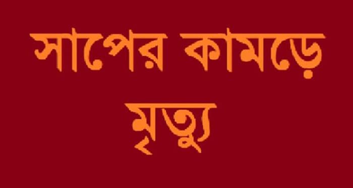 কুষ্টিয়ায় সাপের কামড়ে স্কুলছাত্রীর মৃত্যু