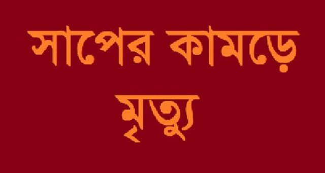 কুষ্টিয়ায় সাপের কামড়ে স্কুলছাত্রীর মৃত্যু