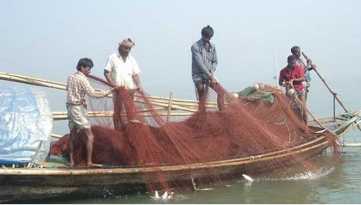 ২২ দিন ইলিশ ধরা নিষিদ্ধ
