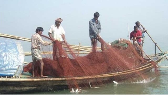 ২২ দিন ইলিশ ধরা নিষিদ্ধ