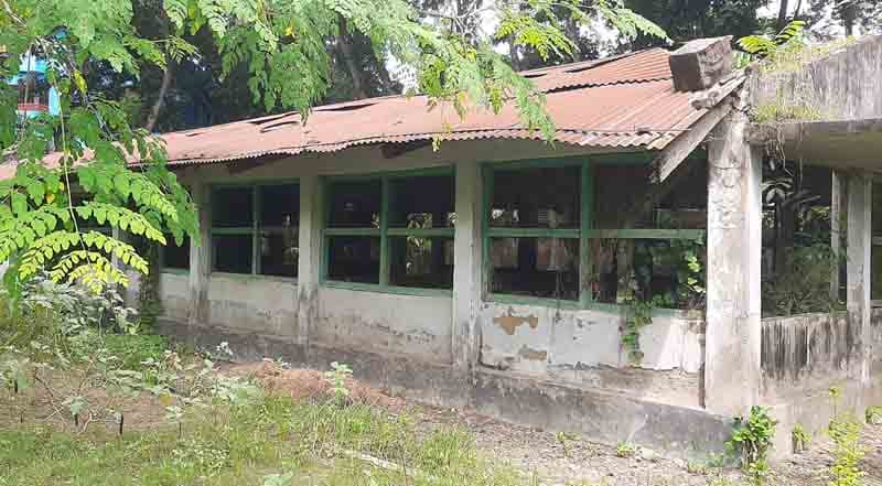 অলস সময় কাঁটাচ্ছে মুরগির ফার্মের কর্মকর্তা-কর্মচারীরা, নেই কার্যক্রম