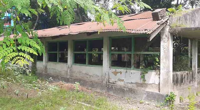 অলস সময় কাঁটাচ্ছে মুরগির ফার্মের কর্মকর্তা-কর্মচারীরা, নেই কার্যক্রম