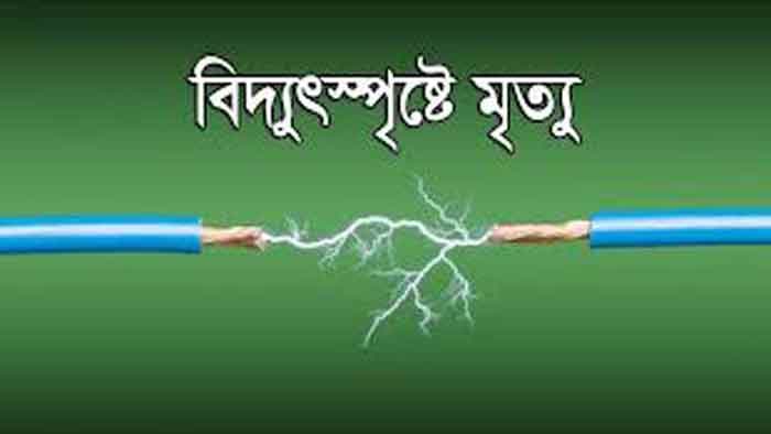 ধামইরহাটে বিদ্যুৎপৃষ্টে আদিবাসী কৃষকের মৃত্যু