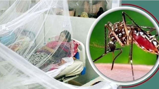 ডেঙ্গুতে আরও ১৬ জনের মৃত্যু