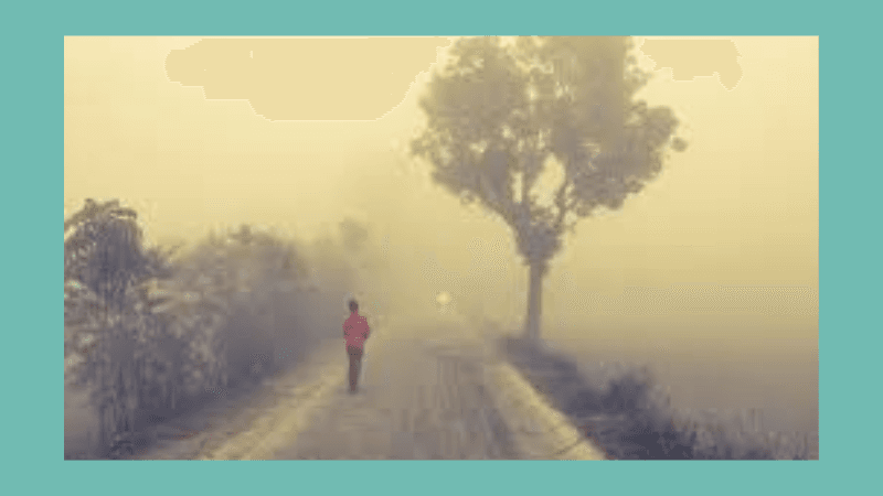 শীতল হাওয়ার আগমনী বার্তা: তাপমাত্রা কমতে পারে চলতি সপ্তাহে
