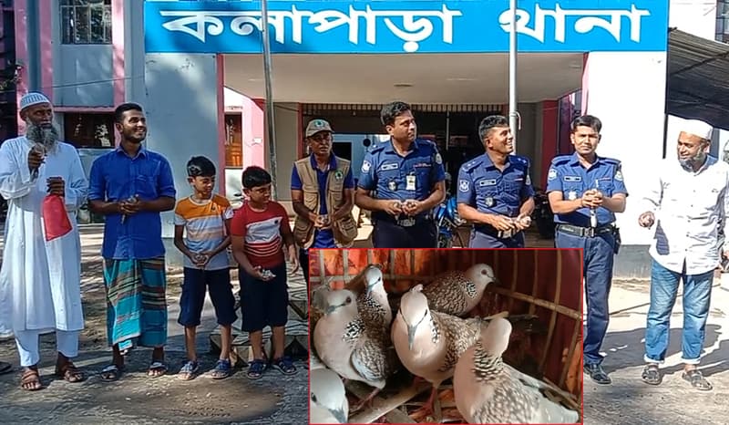 কলাপাড়ায় মুক্ত হলো খাঁচা বন্দি ১৫ টি ঘুঘু