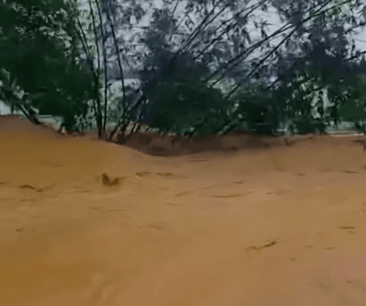 শেরপুর ও ময়মনসিংহে আকস্মিক বন্যা, হাজারো মানুষ পানিবন্দী