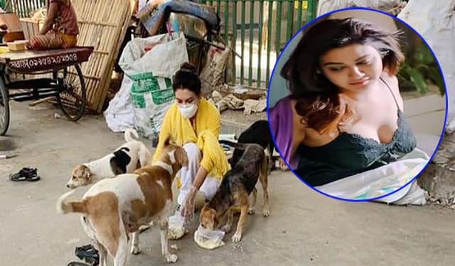 “প্রাণবিক বন্ধু” সম্মাননা পাচ্ছেন জয়া আহসান