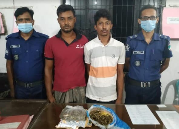 শৈলকুপায় গাঁজাসহ ২ জন গ্রেফতার